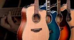 Acoustic-electric guitars types